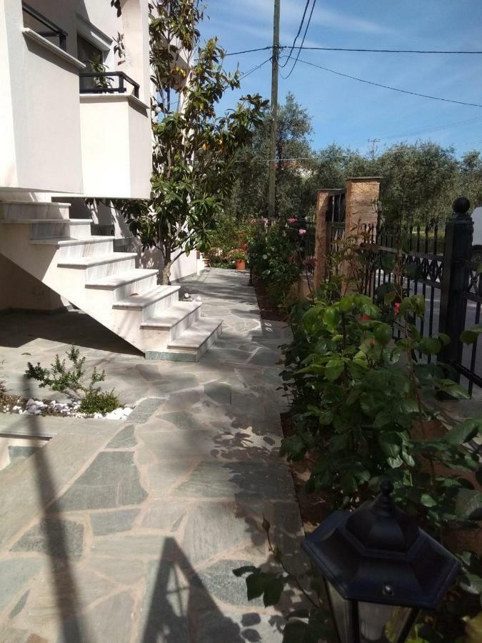 My Home Apartments 1 Thassos Exteriör bild